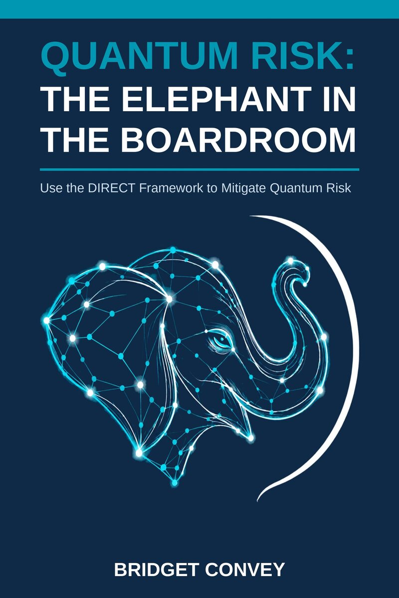 Cover of Quantum Risk: The Elephant in the Boardroom by Bridget Convey